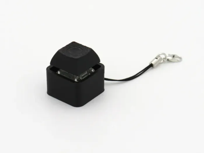 Switch fidget